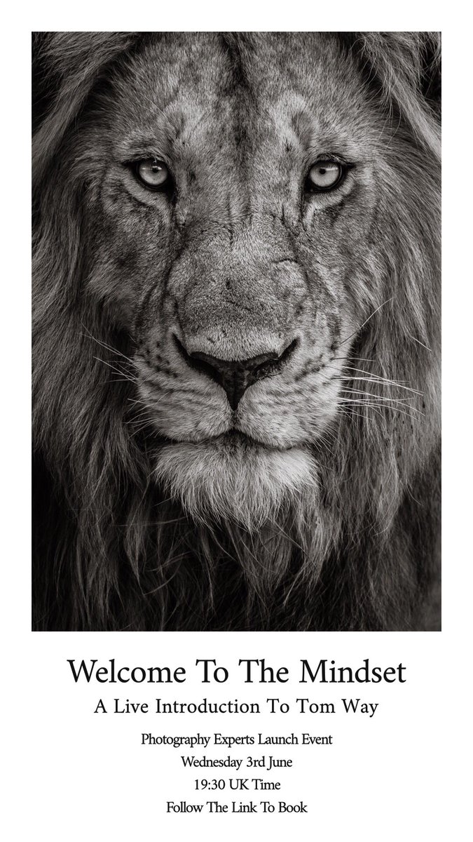 Tom Way Photography tweet media