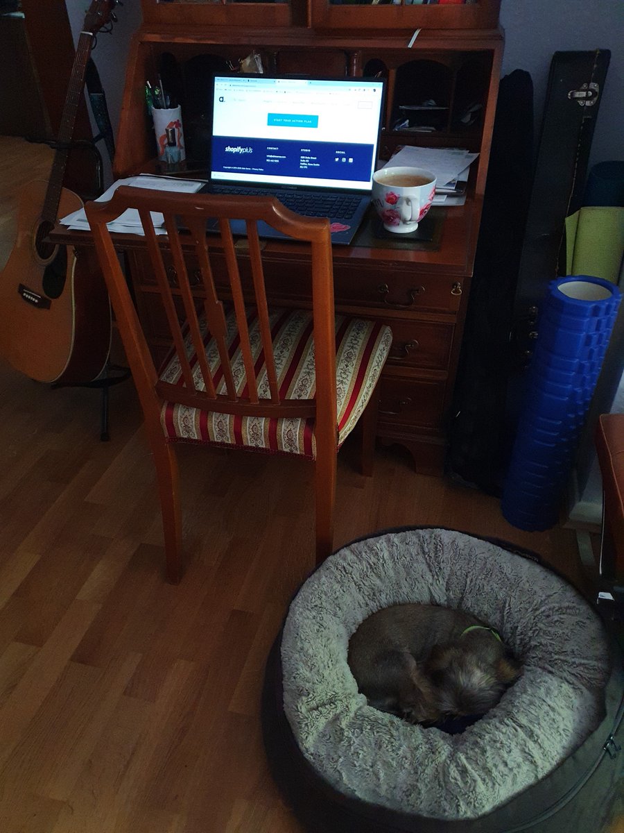 AbleSense's tweet photo. #Throwback to that 1st week of #WAH.
10 weeks on, despite suspiciously neat desks, our team is still working hard to help our existing clients, new clients get started in #ecommerce with @Shopify, & #Exportify customers.
(#Officedog Ziggy is still working hard.) https://t.co/MRu53gs4b2
