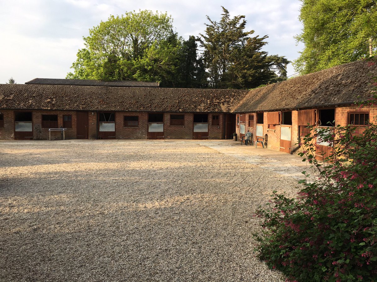 paulcrago's tweet photo. Show centres now open for arena hire,training shows starting next month,BS shows from 15th June! I can now take horses in for schooling,show preparation ready for this seasons start.very much looking forward to getting out competing again! For more info call/txr 07775710643 https://t.co/c065s67c3c