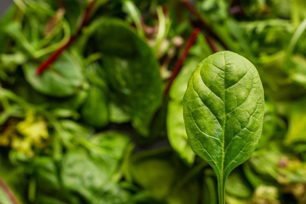 blondenight's tweet photo. Substitute raw #spinach for iceberg lettuce. Full of iron-- it's guaranteed to spice up salad AND health! https://t.co/q3QZ3J8M7U https://t.co/mmMmQ4OBoH
