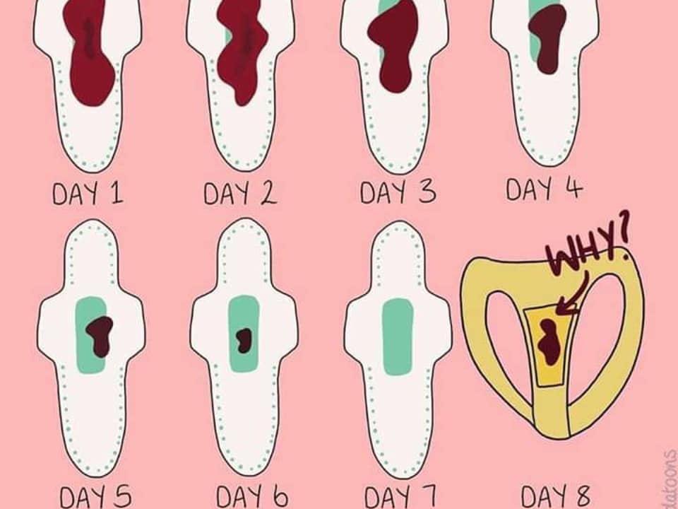 educateryt's tweet photo. WORLD MENSTRUAL HYGIENE DAY 2020

Periods dont stop in pandemics, so its every girl's right to manage her period safely and with dignity.

#EndPeriodPoverty
#EducaterytInitiative
#PeriodsInPandemics
#MenstralHygieneMatters
#PeriodSafety https://t.co/95L8a36Rbb