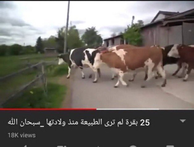 بيسيات غيدز⚔️😂 tweet media