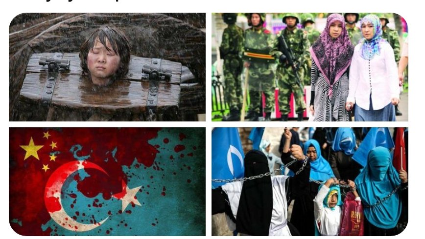 "Sakın, Allah'ı zalimlerin yaptıklarından habersiz sanma Allah, onları ancak gözlerin dehşetle bakakalacağı bir güne erteliyor."  İbrahim suresi ayet42
#DoğuTürkistanYalnızDeğildir