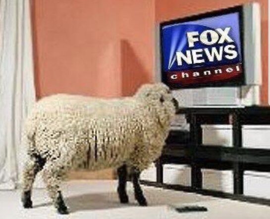 Unbias19's tweet photo. @mmpadellan If only they could be fact checked. There would be no social media from them. The sheep need their shepherds. #RightWingPropoganda https://t.co/adNJH5tX0h