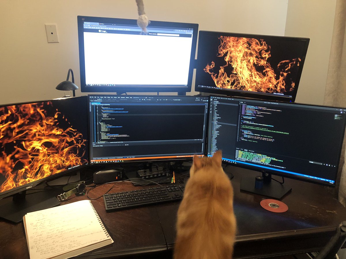 news_scraper's tweet image. Software Engineer Cat writing code for traders!

#traders #software #cat #mainecoon #maincoon, #brooklyn, #newyork