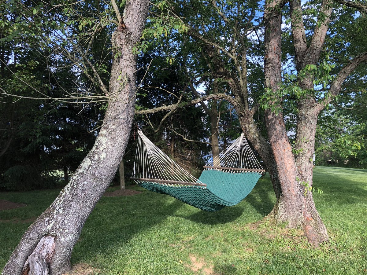 AnneStineArtist's tweet photo. My new best friend! #relax https://t.co/Yq9V3BjcyN