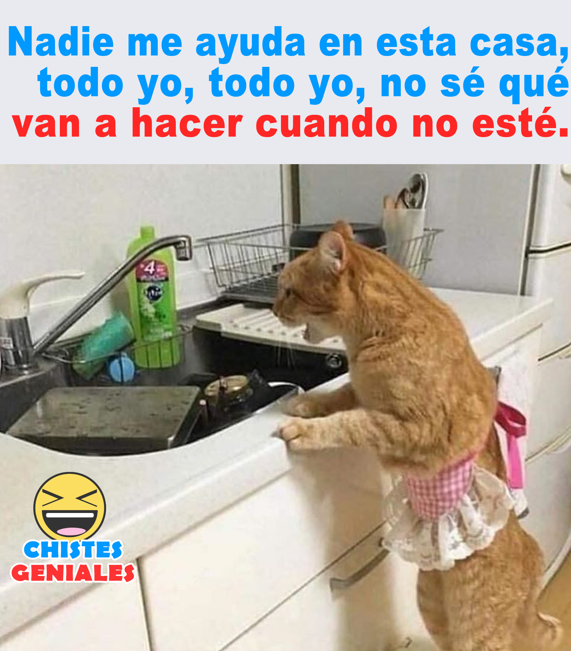 Nadie Me Ayuda En Esta Casa Nadie Me Ayuda En Esta Casa