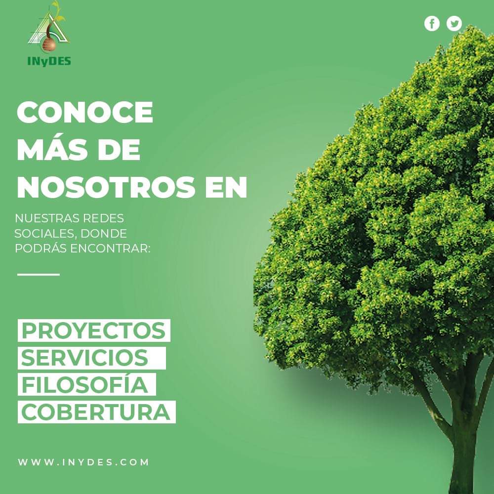 Inydes's tweet photo. ¿Aún no conoces nuestro sitio web? En https://t.co/IO4CWRwAWy podrás visualizar y encontrar más información respecto a nuestro trabajo. 🌳

¡Conocenos! 😄 https://t.co/E0UflfJBfz