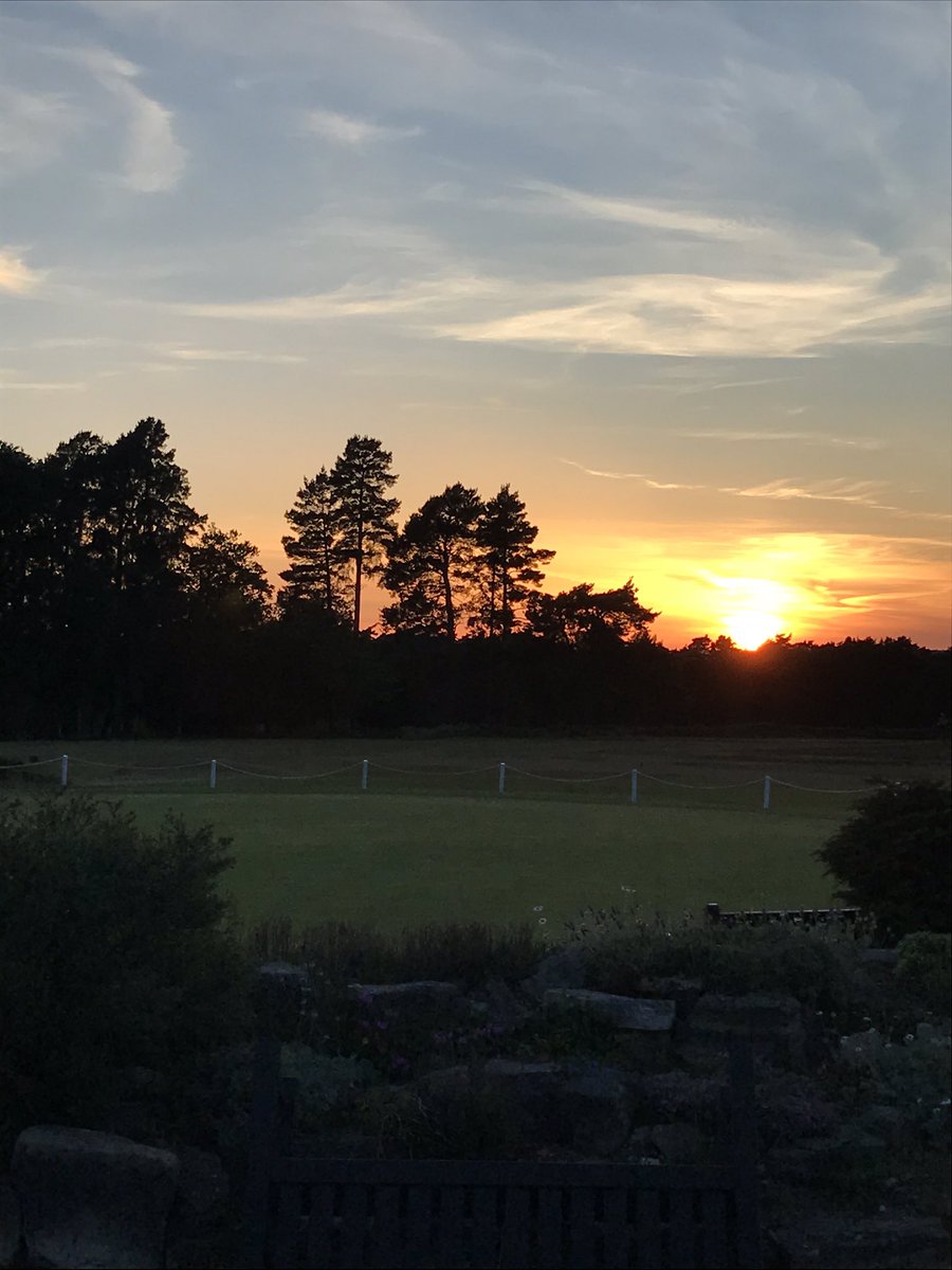 Hindhead GC Pro Shop tweet media