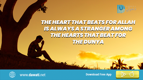 dawati_app's tweet image. 👉Alhamdulillah! We ask Allah to make us amongst those who come to Him with a sound heart. Ameen.
#muslimapp #islamicapp #islamicquotes #musimcommunities