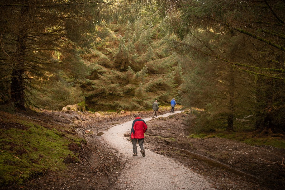gallowayglens's tweet photo. A1: #loveDandG #aWindowinScotland One of our favourite historic sites is the Old Pack Road from Polmaddy to Carsphairn - for centuries the main route for pilgrims, kings and everyone travelling from Glasgow to Galloway. 7km, newly refurbished path, travel as our forefathers did! https://t.co/LroV1OL0i0