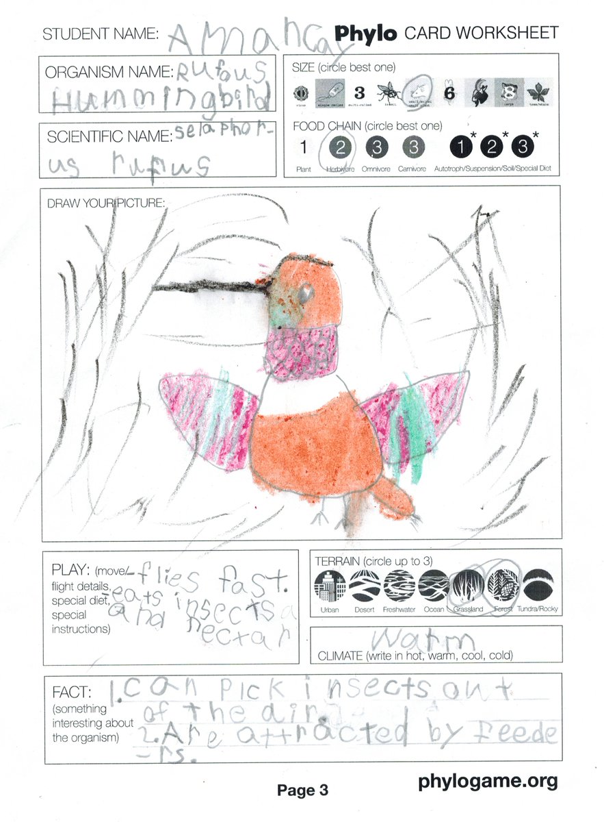 Ng_Dave's tweet photo. OK, here we go again!  More @phylomon cards!  First up.  Here is a hummingbird card by Amancay (Grade 1)! 1/n

Again, if your kids are interested in making their own, just check out https://t.co/Hh4kQfPXcu

#schoolathome #biodiversity #DIYgames https://t.co/ItNuMVZksy