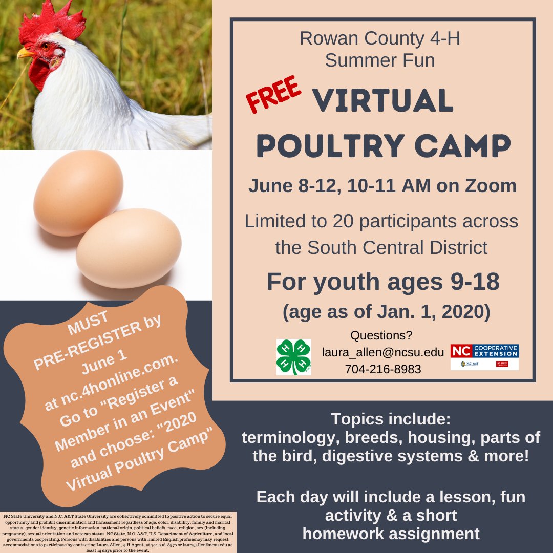 rowan4h's tweet photo. Looking for a virtual special interest 4-H club for your child this summer? Check out these opportunities open only to youth in Rowan and 18 surrounding counties. Taught by 4-H Agents! #summerfun #summerlearning #Rowan4H https://t.co/kMxwE5690T