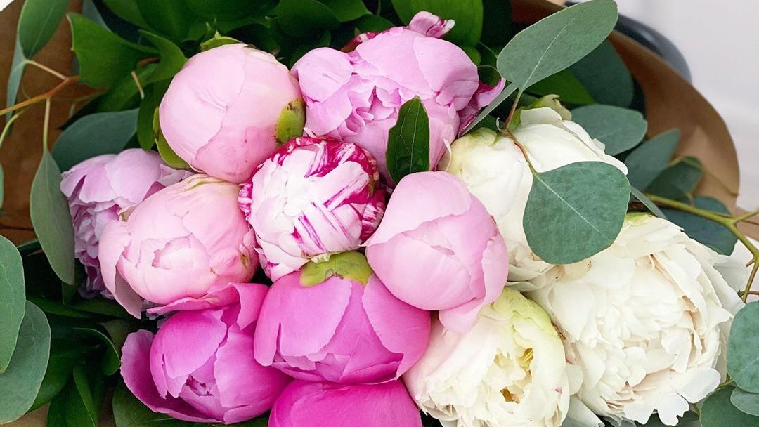 What my relationship with my parents looks like in quarantine
cupcakesandcashmere.com/lifestyle/what…