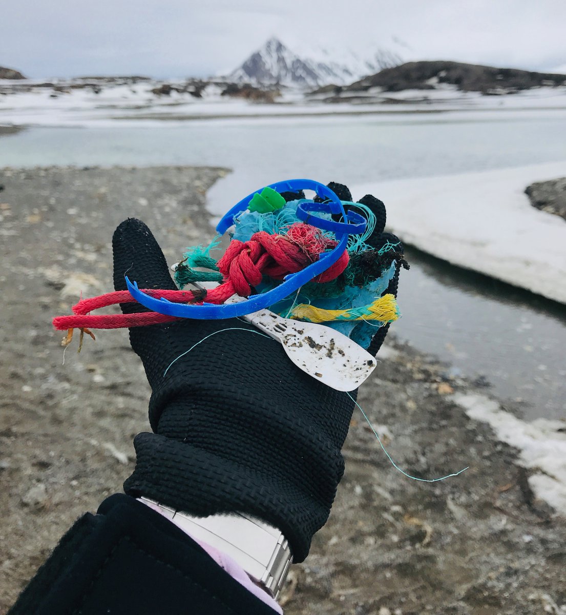 jimwharton's tweet photo. @NatGeo Fellow and schoolteacher Jennie Warmouth went to the arctic wilderness and what did she find? Plastic. She and her kids did something about it. Hear more tonight at Lightning Talks, a LIVE science event, 6:00 PM PST. Please RT and join us. #Sci5 https://t.co/GG98n6WdL5 https://t.co/017mulRO0b