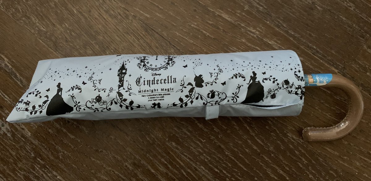 なみやんぬ しまむら でかわいい 日傘 ゲット ディズニープリンセスとか普段買わないんだけど 表はシンプルな薄い水色一色なのに内側にシンデレラがぐるっとプリントされてるのに一目惚れ 安かったしいい買い物できた