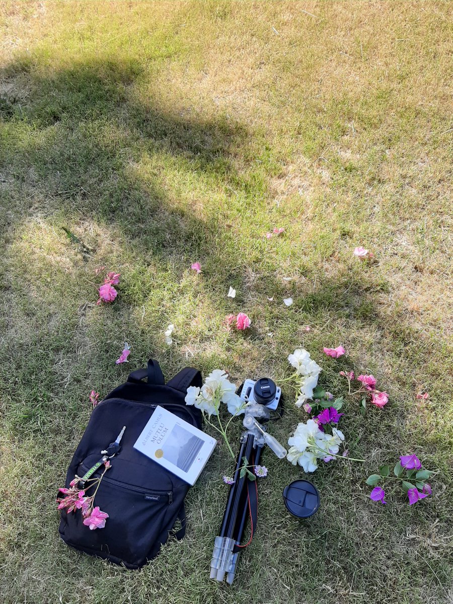 #GeceyeNotum 
Iyi adamlar yalnızlıktan ölüyor.
Iyi kadınlar ise kötü adamların balkonundan gökyüzüne bakarken...