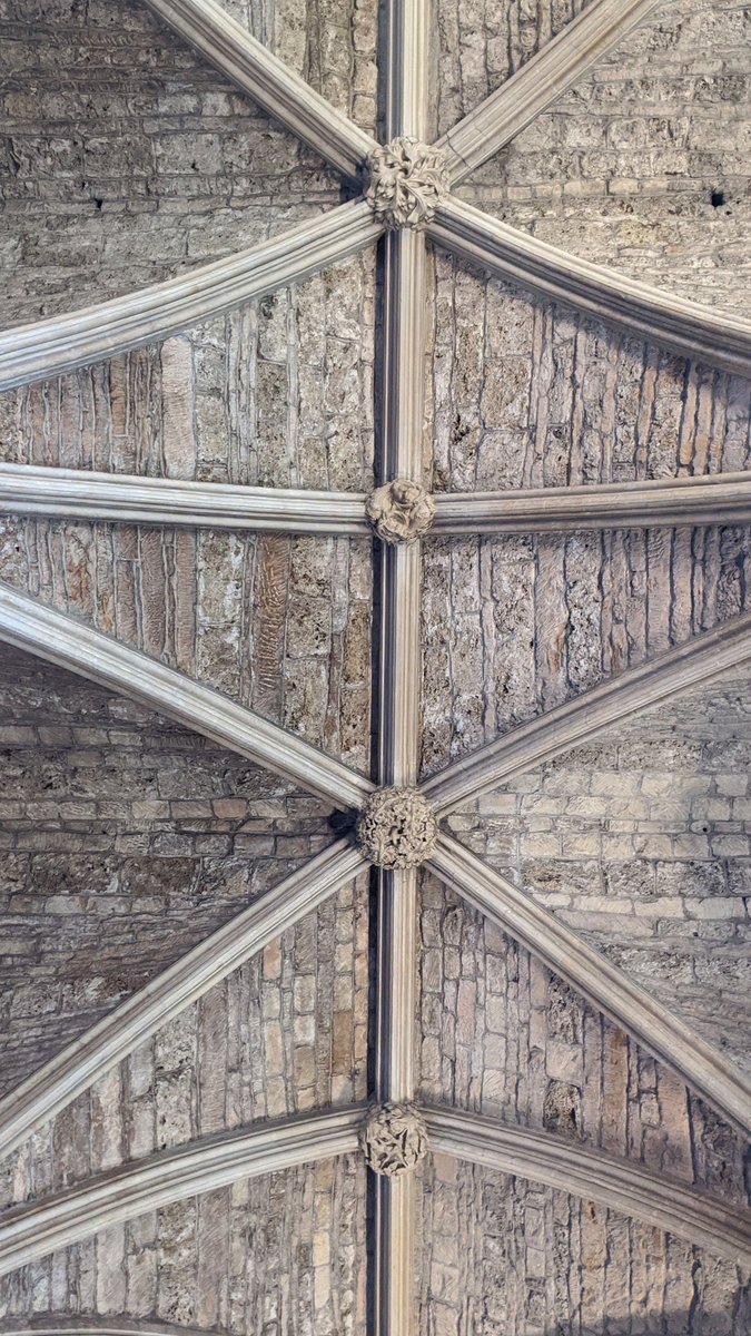 I heard you like Cathedral ceilings, so please have these ones from Bristol Cathedral I found in my camera roll.