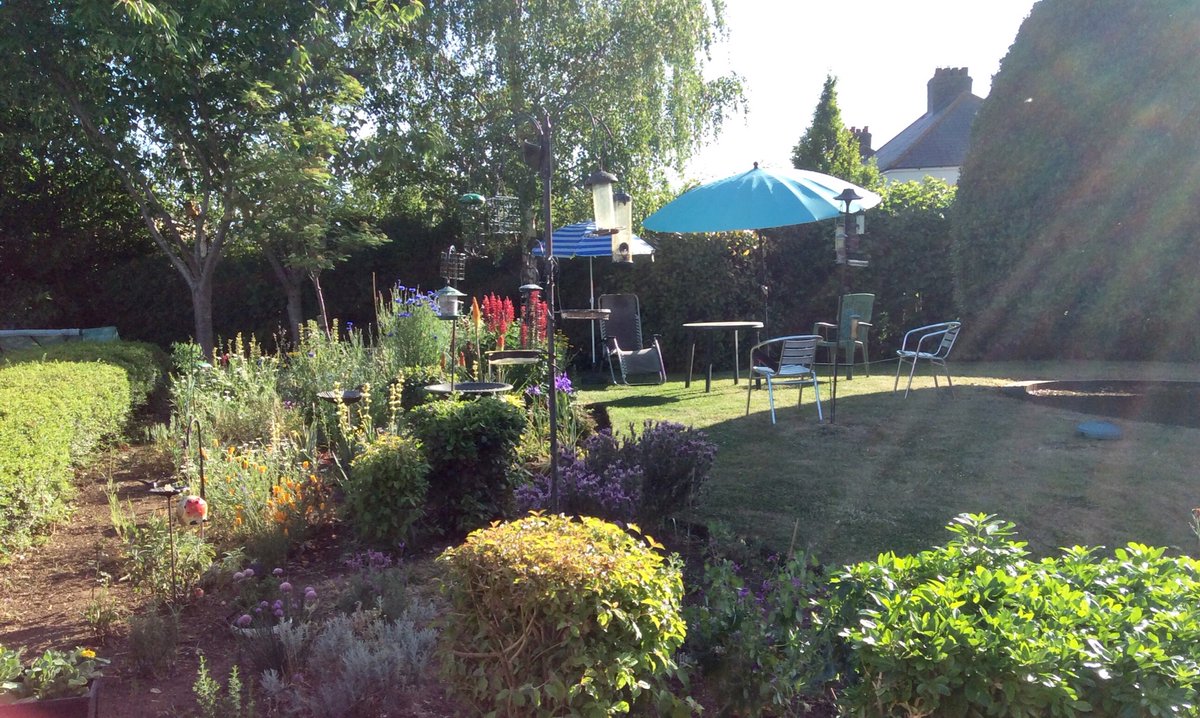 Kerion Hunt tweet media