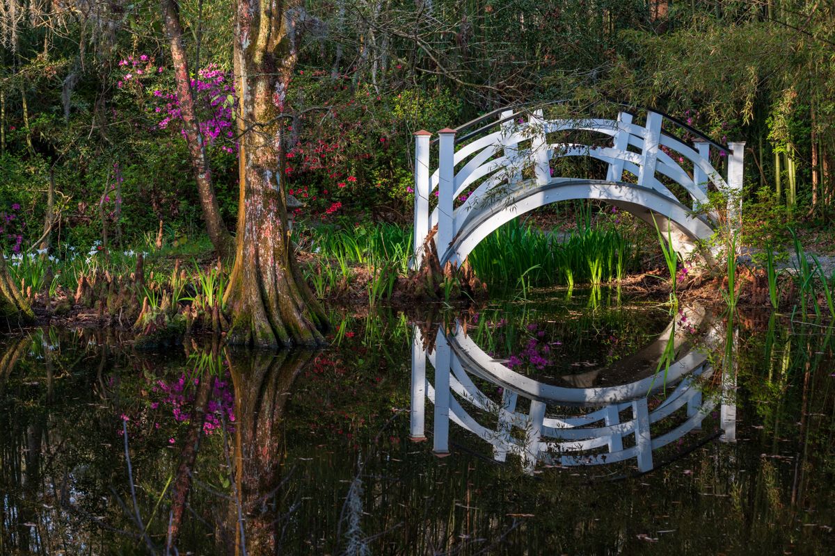 Rick Holliday tweet media