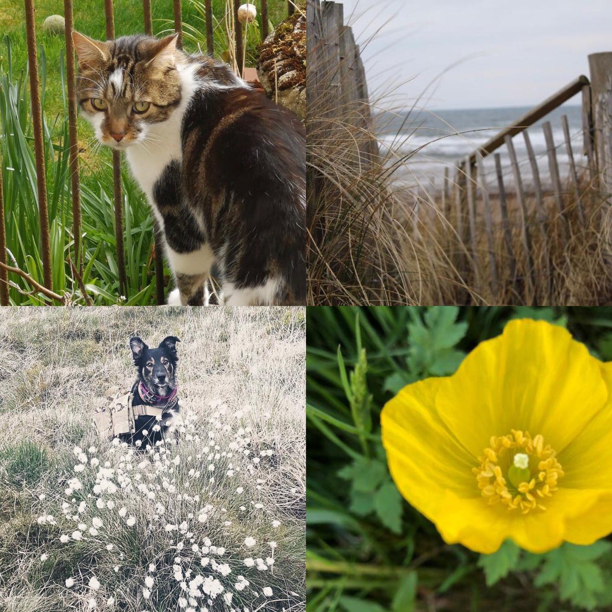 SLHCreativeArts's tweet photo. S1 @StLukesHigh have enjoyed some outdoor learning and demonstrated some excellent photography skills. Within the theme of nature they have considered techniques such leading lines, the rule of thirds and focal points. https://t.co/nfhZAZ50uD
