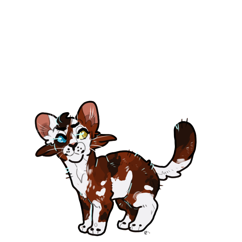 whimsyfinch's tweet photo. Got two new kits in #rootclan . Meet Pebblekit [stoned] and Bubblekit [patches]. I have no idea what these ladies will mature to, any ideas?

#warriorcats #warriorcatroleplay https://t.co/3OWYZOdiML