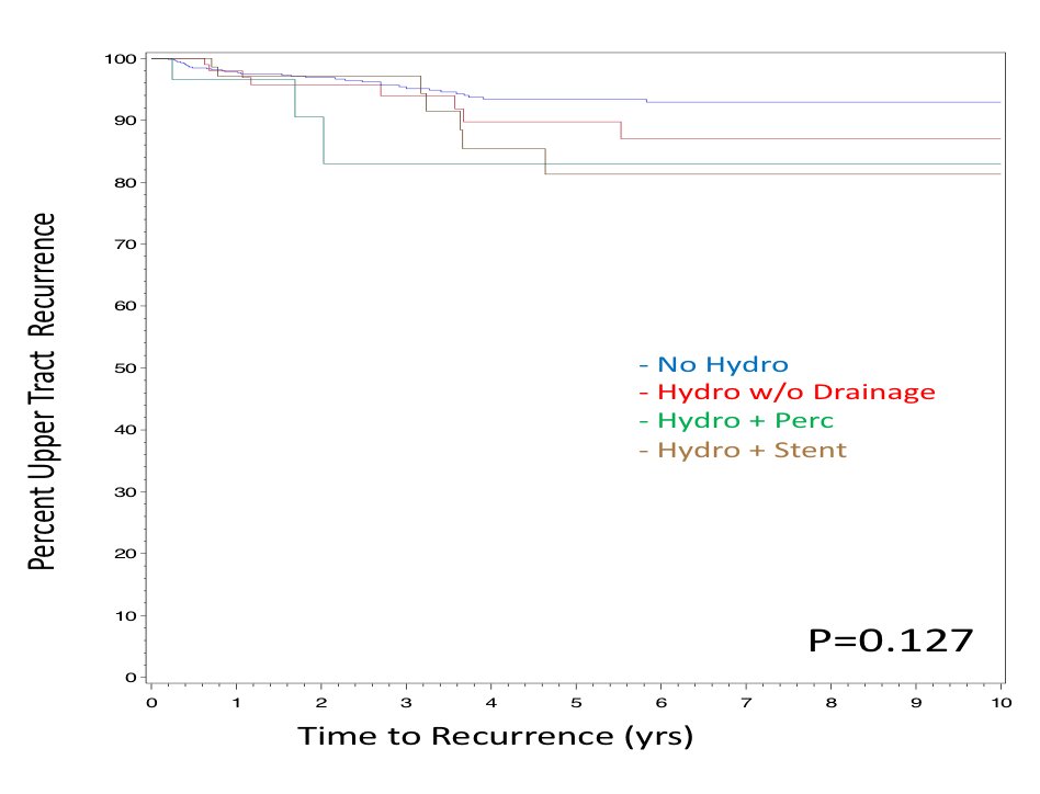 vidit_sharma_'s tweet photo. Thank You! @AmerUrological for #AUA2020 best poster award: Stent vs Perc Tube for Hydronephrosis before Radical Cystectomy. No major difference in UTUC incidence.
Poster: https://t.co/A0i50czlCx 
🙏@tsmiest @jeffkarnesMD @MayoUrology 
#blcsm #AUAVirtualExp #AUAVirtualSci https://t.co/Klx2TpPjJx