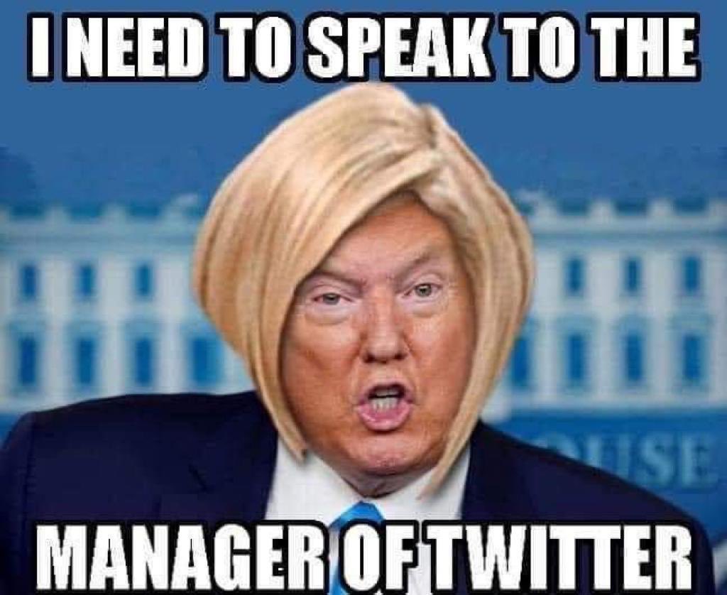 Webster69Dw's tweet image. 'lil donnie's such a Karen