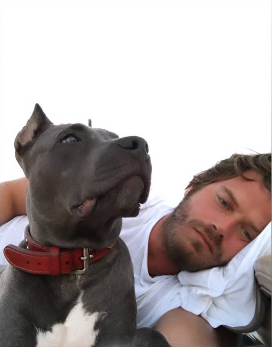 ktatlitugnews's tweet photo. Kıvanç Tatlıtuğ via basakdizer instagram story.😍 https://t.co/PMPfbT3usS