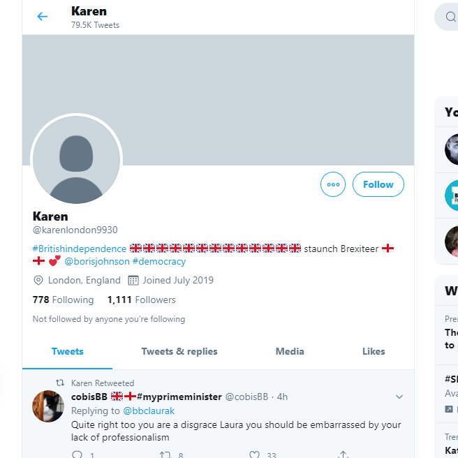 6/ The top five accounts tweeting and retweeting the scum hashtags are >  @timmyvoe  @petermac7 @1hannebelle  @chrisgregson123  @pam30301  @karenlondon9930  From profiles again generally right-wing accounts. One even with a banner saying "The Media is the Virus".  #notgoingaway