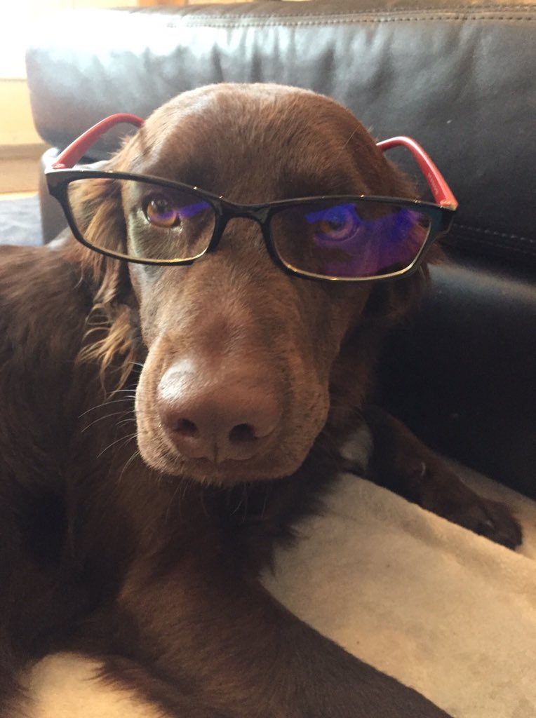 running_yc's tweet photo. @ThatEricAlper Pierre de Furmat, Muttmatician (not to be mistaken for Pierre de Fermat, Mathematician) and Linkin who was actually named for Linkin Park but many thought it sounded very presidential 😊 https://t.co/CelkEahI5P