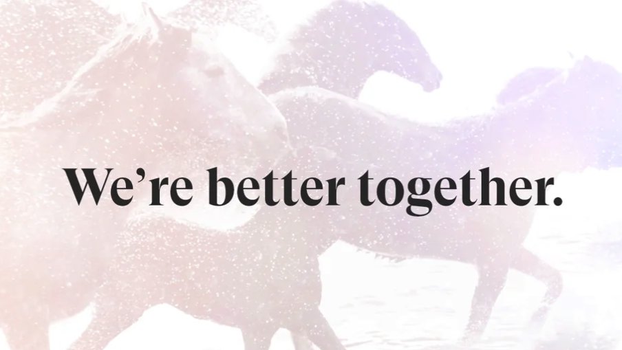 RiderCCS's tweet photo. The academic year may have ended, but there are so many ways you can still stay connected with Rider University. #RiderCCS #RiderVets
https://t.co/rQ3akAyxfJ https://t.co/HQcBcchFeU