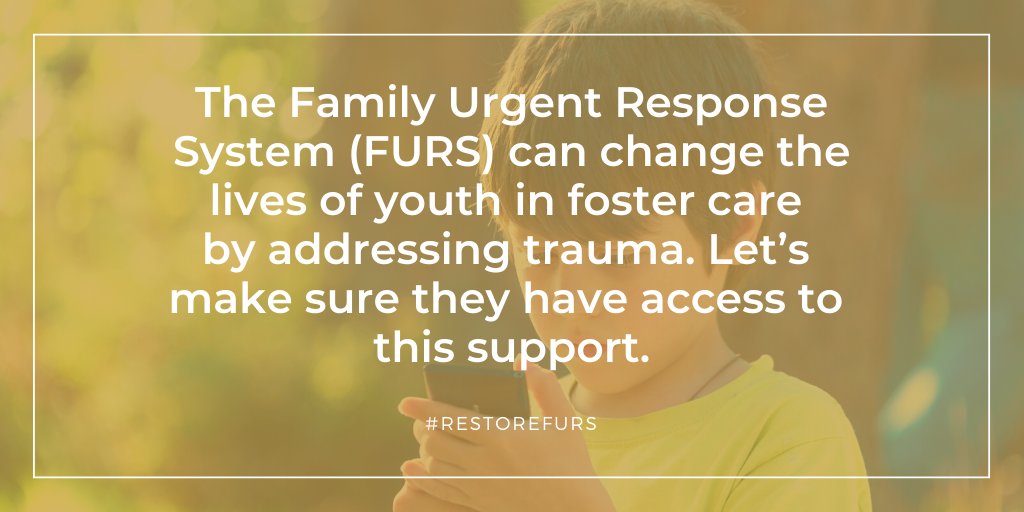 afwd_inc's tweet photo. FURS will be a lifeline for current &amp; former foster youth and those who care for them. Defunding the program in the midst of #COVID19 is shortsighted. #CALeg needs to #RestoreFURS in the #CABudget @Rendon63rd @SenToniAtkins @SenHJMitchell @AsmPhilTing @DrPanMD @drarambulaAD31 https://t.co/EUBePTM5B7