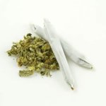 Image for the Tweet beginning: #cannabis #weed #marijuana Two large