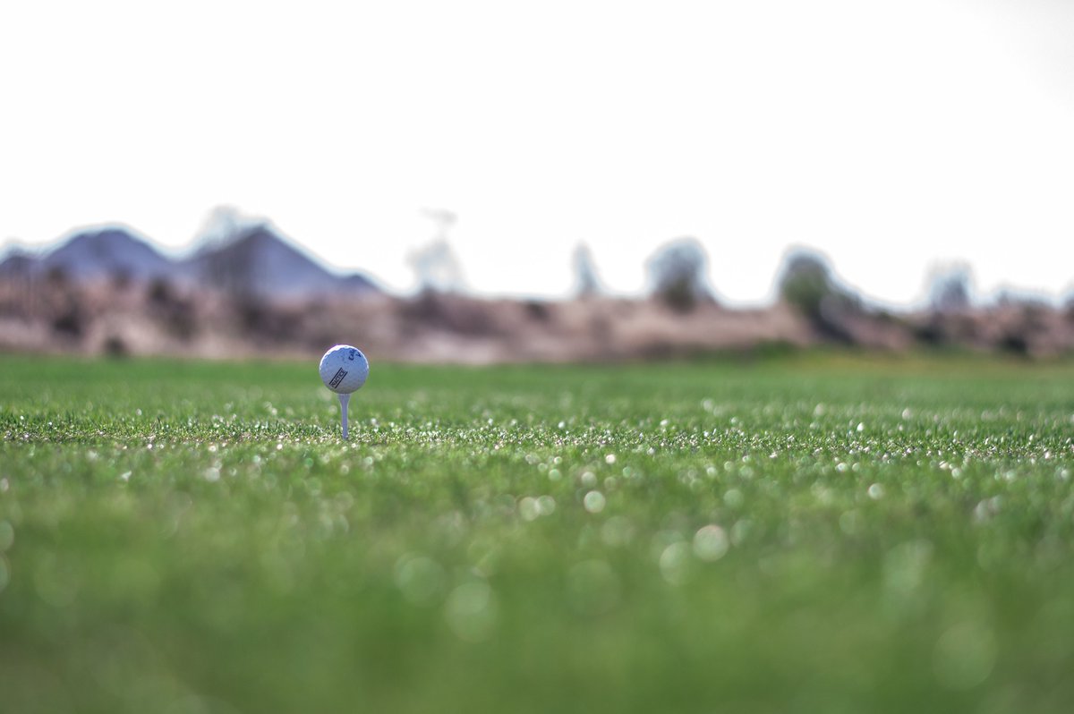 Sewailo Golf Club tweet media