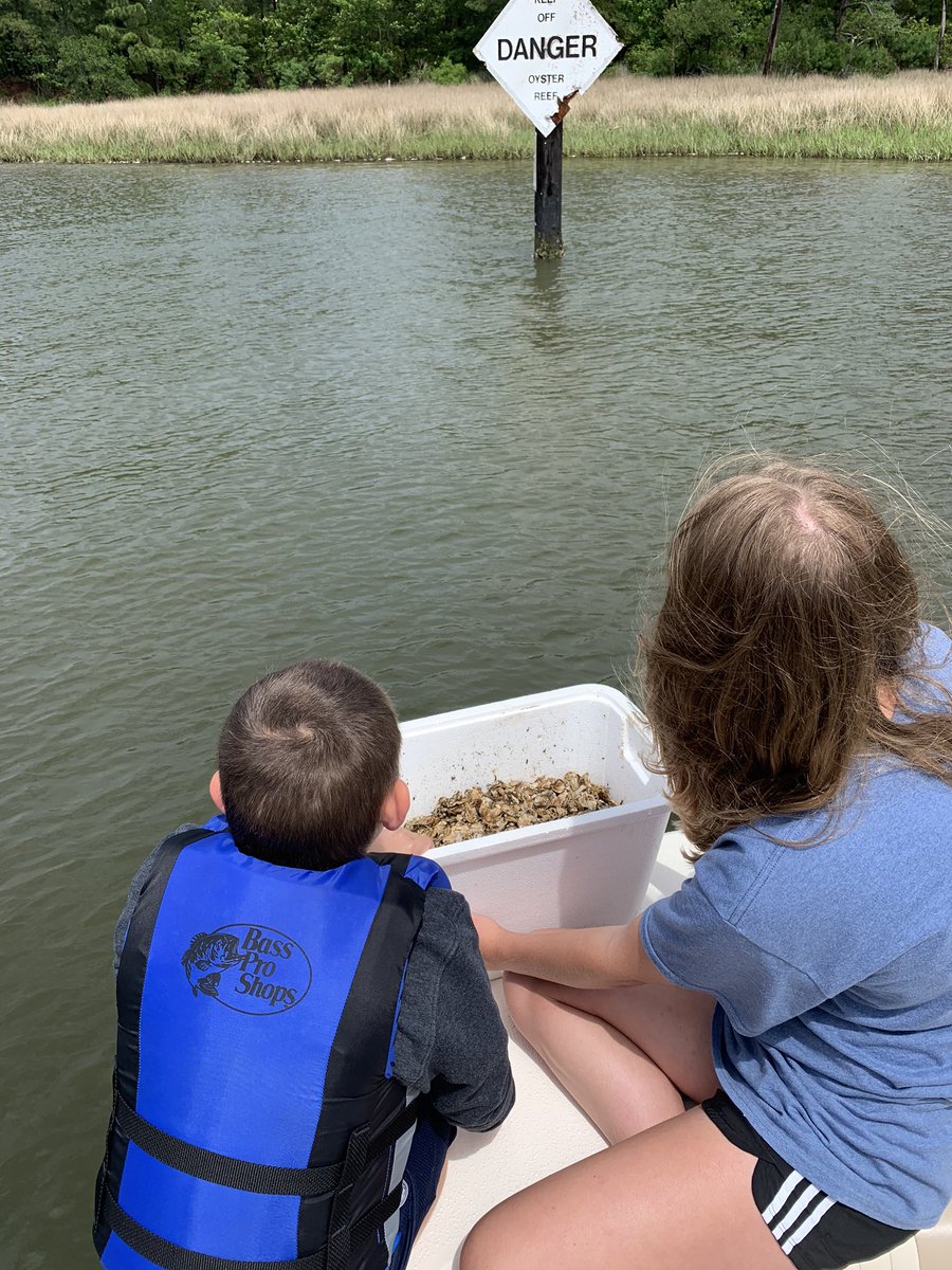 krista_booth's tweet photo. When Trantwood’s 4th graders can’t take their field trip to get their oysters in the water, Mrs. Booth comes to the rescue with the help of her kids! 4th graders, your oysters were safely put in at the Oyster Reef today! @TrantwoodES @LouAnneMetzger @Lewis2Karen @PezzellaMelinda https://t.co/IXGHzLKmrT