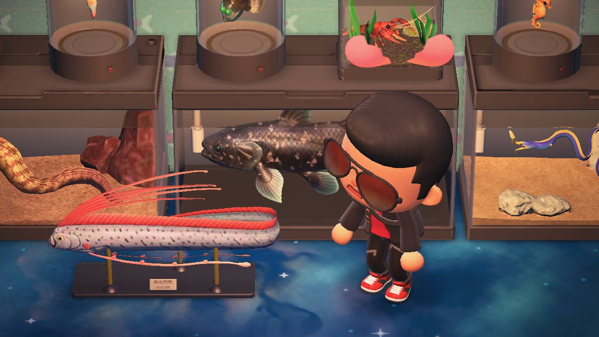 Cephalus_ACNH's tweet photo. Aw...I thought it'd be comically large

 #AnimalCrossing #ACNH #NintendoSwitch https://t.co/BdAjPtQ7II