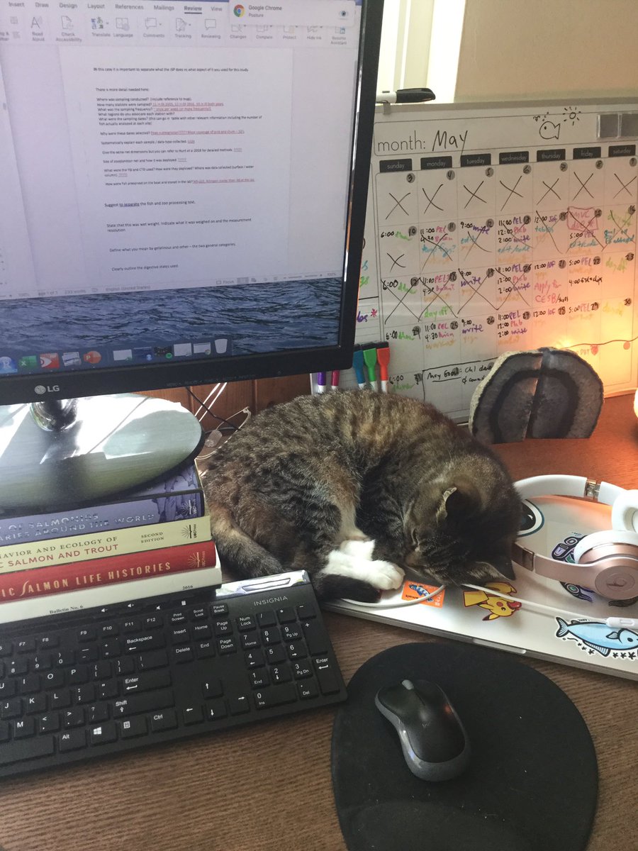SkilJaada's tweet photo. She’s lucky I don’t need that second monitor... #worknaps https://t.co/IDuxP0O4Po