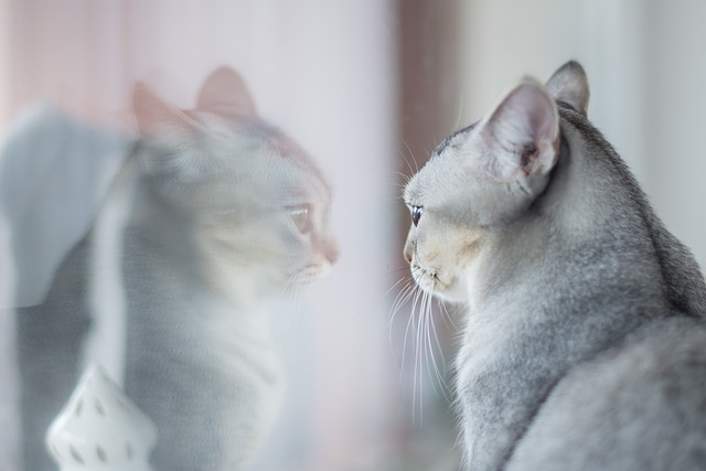 QAStephP's tweet photo. When can I go outside https://t.co/huxc8QljwZ