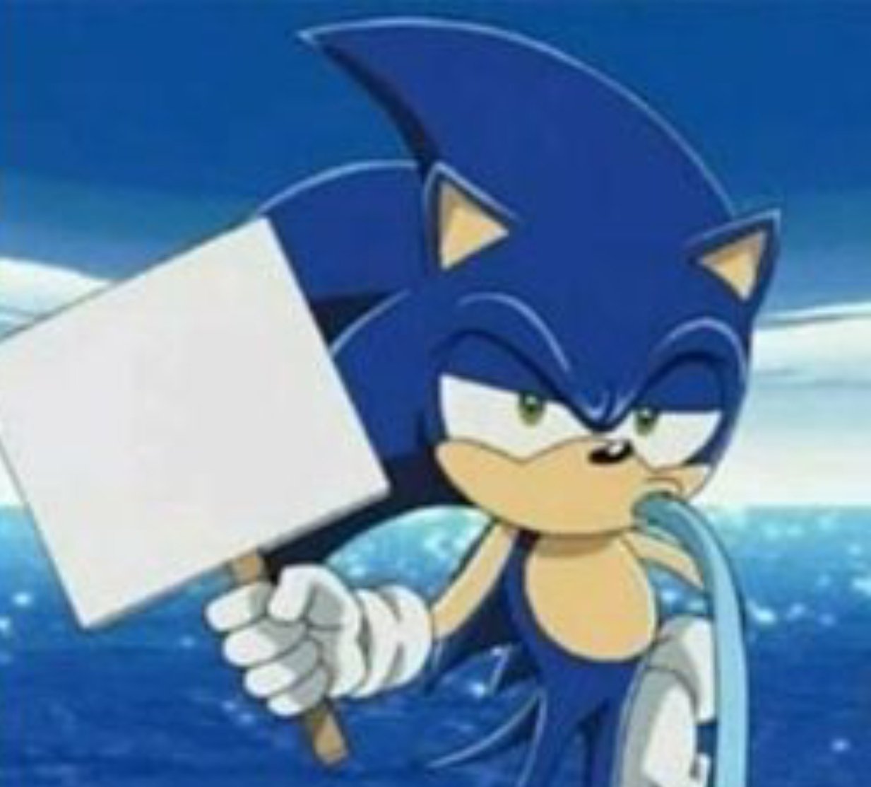 Collin LW on Twitter "Fun fact The Sonic X Bluray makes even more