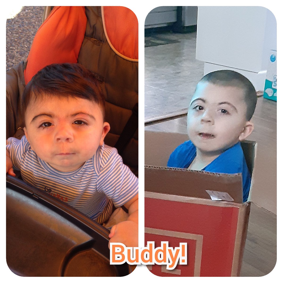 Crystal Lough-Ebert tweet media