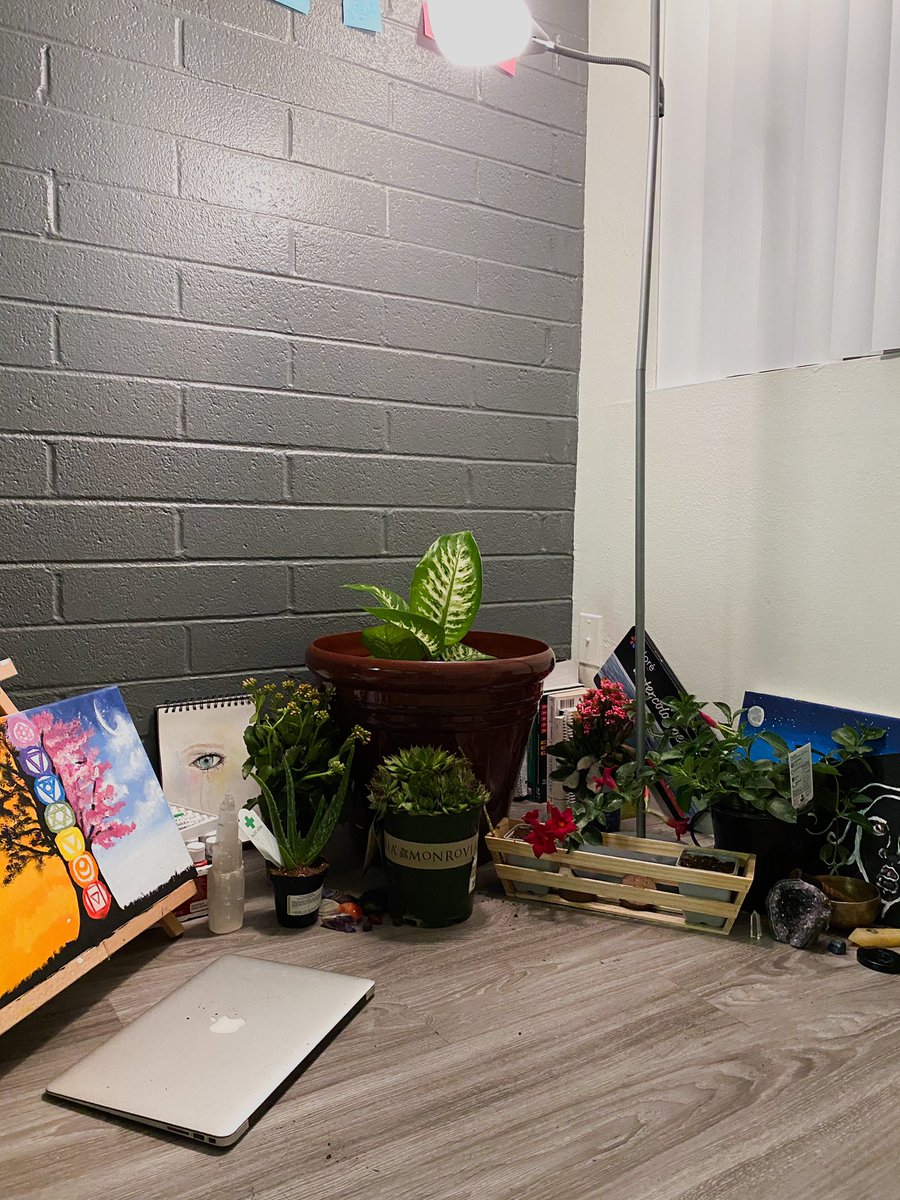 i bought new plants and the energy has been competely reset in a way. i don’t feel down. i feel energized. its nice to have a spot that i can feel comfortable in again. (the plant is only in there bc i’m repotting it with others i just need more soil lol)