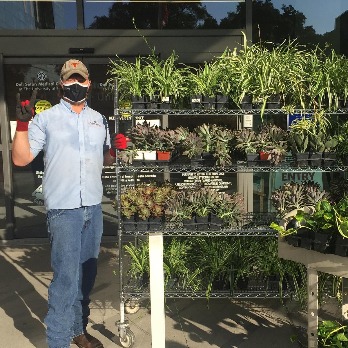 uthealthaustin's tweet photo. Who doesnβt love a succulent?! The landscaping team @UTFacilities donated 400 plants to Dell Med, UT Health Austin and Dell Seton employees as a thank you for all their hard work! People were lining up with excitement this morning and all 400 plants now have a new home! π΅πΏπ± https://t.co/s2Vyc36y2o