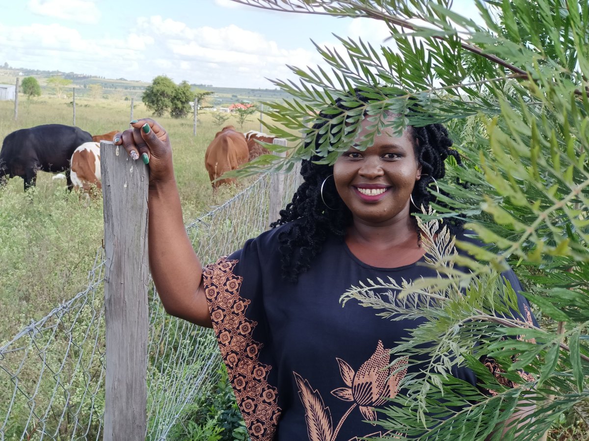 JemutaiComedian's tweet image. Turning 29 on 29th.. Happy birthday to me.