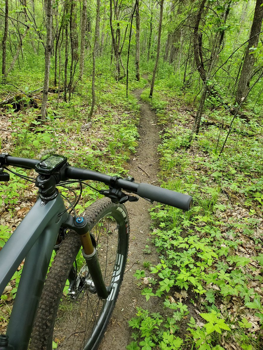 BlackGroveRCR's tweet photo. Trail update-Good to go!!  Rode the trail this evening and it is in the driest condition of the season.  It is however turning into a jungle out there.  Couple weeks and we will need to begin trimming.  I would give #5 some more dry time yet. https://t.co/IFsMORrwK1