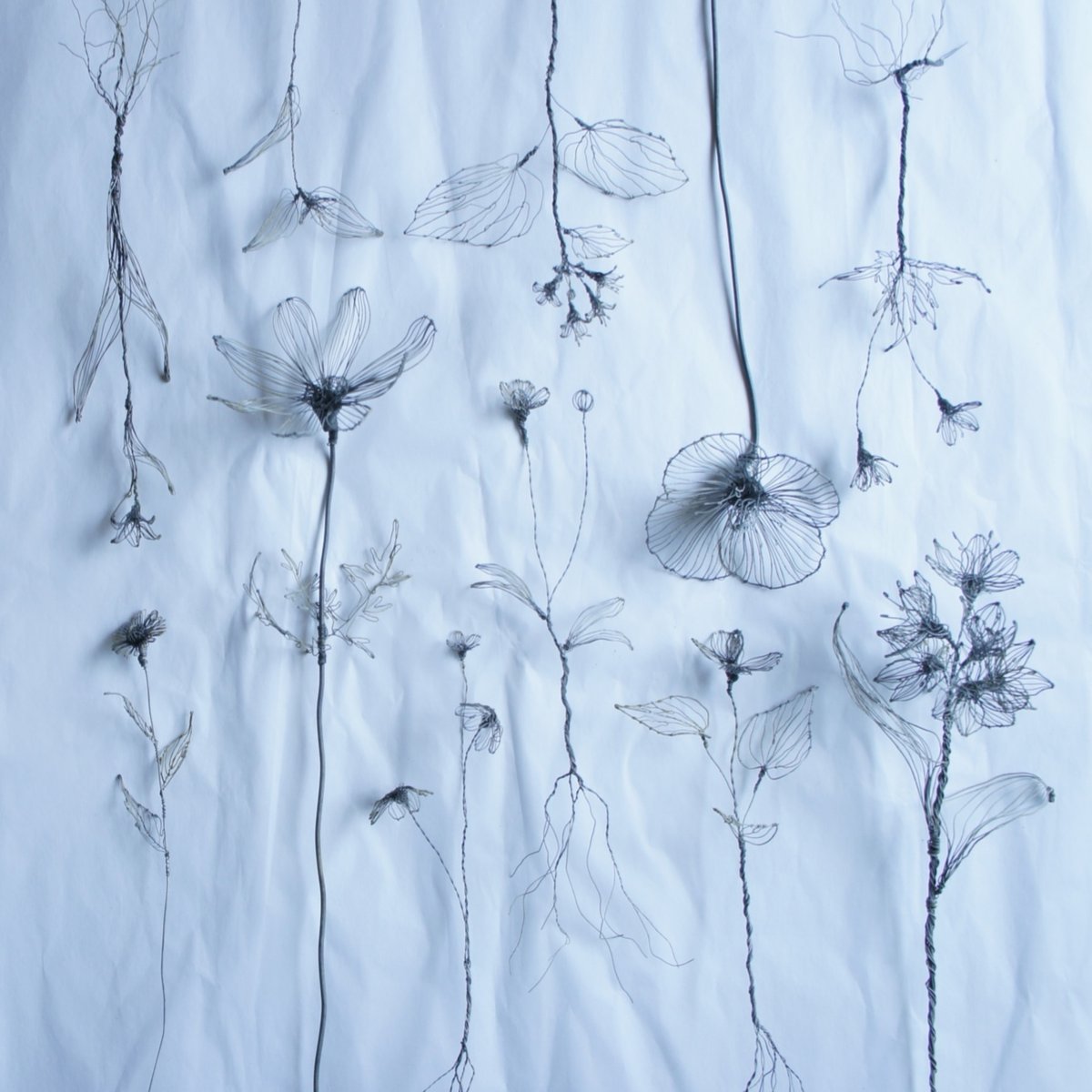 Ranbu Ar Twitter 針金で作品を創るcourircourirさん まるでデッサンされた絵のような 植物が必要な物だけ残した姿のような または 影なのか と思わせてしまうような その作品が纏う空気感は 想像を膨らませます Spacea Courircourir個展 Life With Flowers