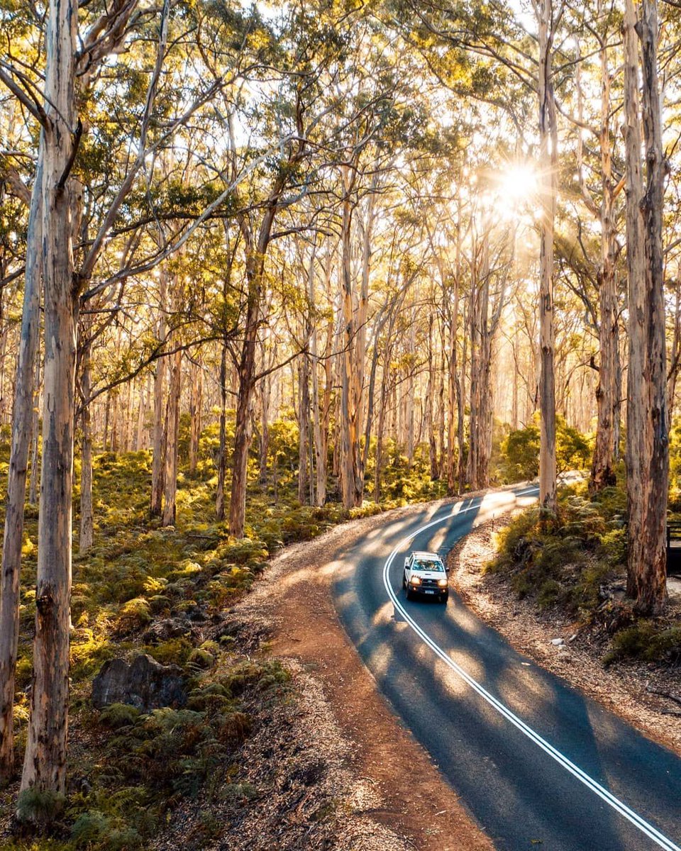 WADayFestival's tweet photo. Are you taking a much needed holiday away this long weekend? 
This is the time to truly be grateful for what our State has to offer, and to get out on an adventure. 
If you're going on a road trip this WA Day, we want to hear about it! Where's your favourite holiday spot in WA? https://t.co/vVQMGIuSZA
