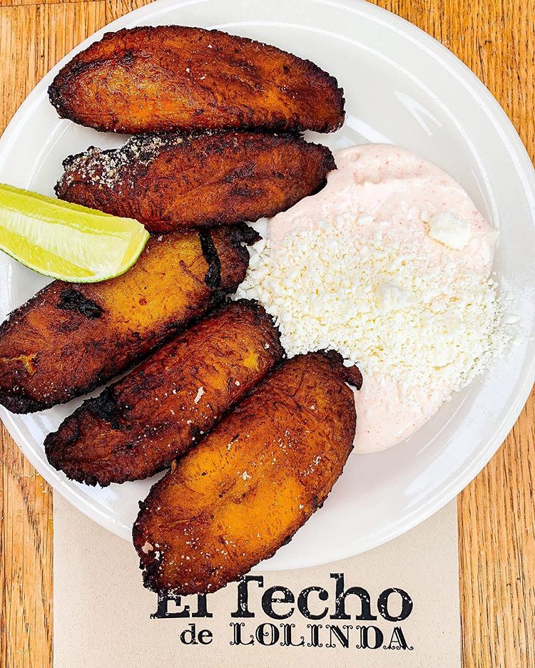 El Techo tweet media