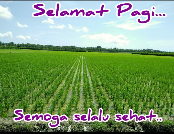 @4ntonius_ @SetiaAdy_p @wartawankoboi13 @BHD_8 @machbeach @k31sh41 @kasrulsani9 @MOMDian2 @MukhtarLuthfi12 @babegalak1 @Ratujagad6 @saifaliebahri_ @simbah_stp @TukangMu @FaGtng @sidien9973 @MaryanaNunung @sofiankawar1 @RizkiR4madani @Mulia07094480 @evisuryanti18 @anto_winarno @ridwan111091 @TeddyLuis6 @KikiHakim4 @Canda_Bisnis2 @APLpangeran1 @ABANGPATIH19 @BudiatnoGomarus @kangenband123 @FatiarTiarti @61_galo @CBisnis3 @Hariyanto152 @GumgumGumilar5 @AhokerTulen @retno_setyowat @CANDAdanBISNIS @seruanhl @ferdibillah @serasan_sekate @vita_AVP @Vasternorland21 @Dennysiregar7 @permadiaktivis @EbongDongox @hmsafrizalsh