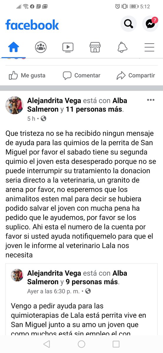 AlexandraDlopez's tweet photo. @nayibbukele @19fender84 @Vvas14_88 @AlianzaFC_sv @Glowzita24 @Geova4_20 @Karla66874823 me ayudan a compartir para que puedan ayudar a mi amiga a ayudar a la perrita ella es una rescatista  y pues ahorita necesita una mano amiga... Pueden contactarse con @AlexandraDlopez https://t.co/xAiKg4btph